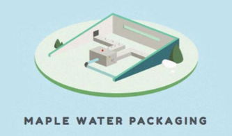 枫树汁进口全流程指南 从国外货源到国内市场的关键环节解析