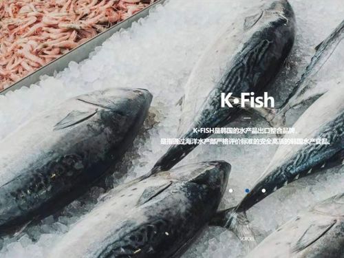 韩国水产协会上海贸易支援中心举办K-Seafood线上采购洽谈会，助力国内贸易代理合作