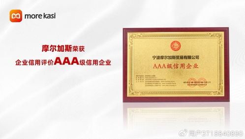 摩尔加斯贸易突破千万美元，全球化服务再进阶国内贸易代理